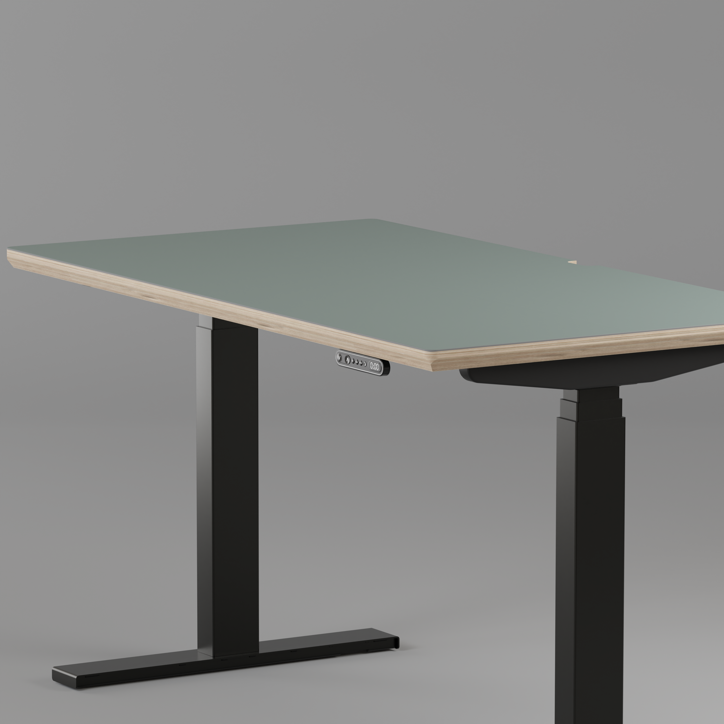 Model 301 Electric Standing Desk | Moss Green | 48 x 24 in | Black Legs