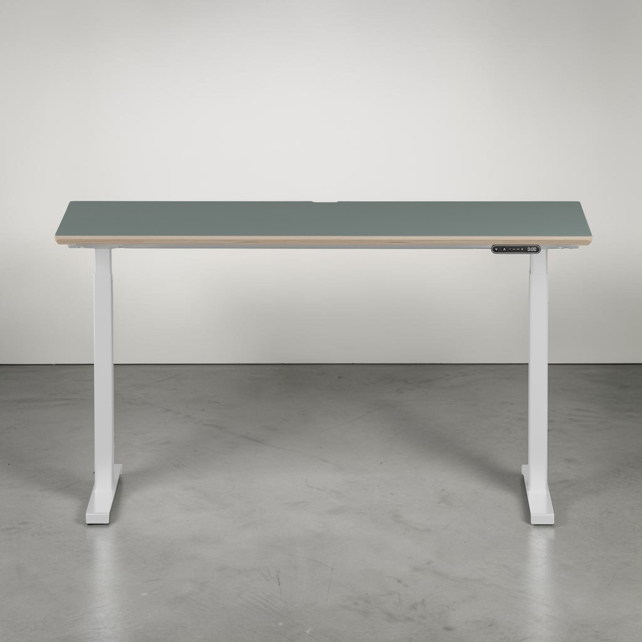 Model 301 | Height Adjustable Desk/Standing Desk (55"x27") | Moss Green | White Legs