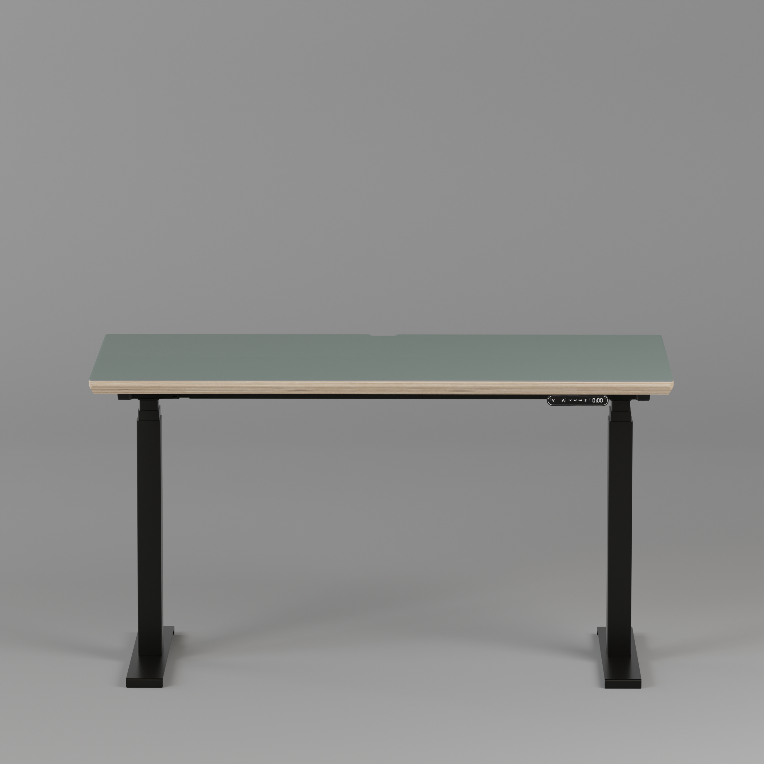 Model 301 Electric Standing Desk | Moss Green | 48 x 24 in | Black Legs