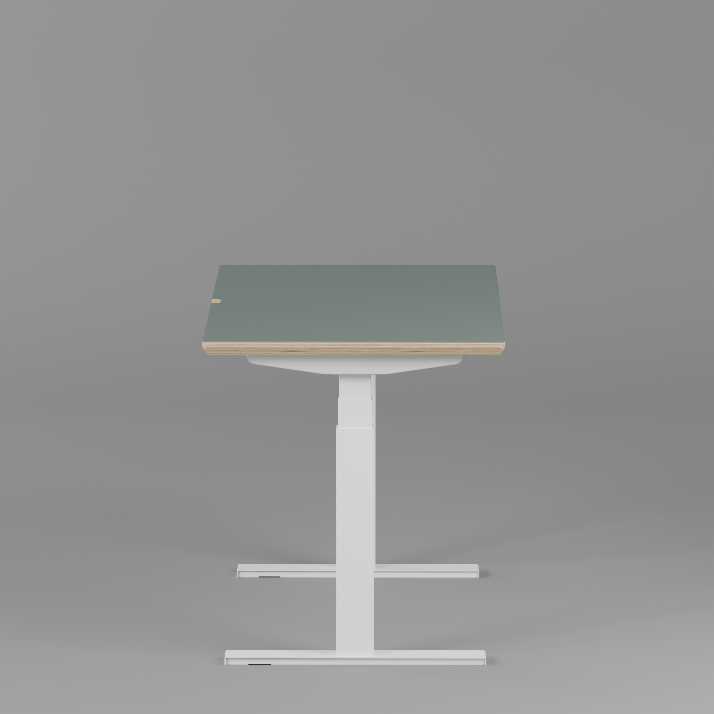 Model 301 Electric Standing Desk | Moss Green | 48 x 24 in | White Legs