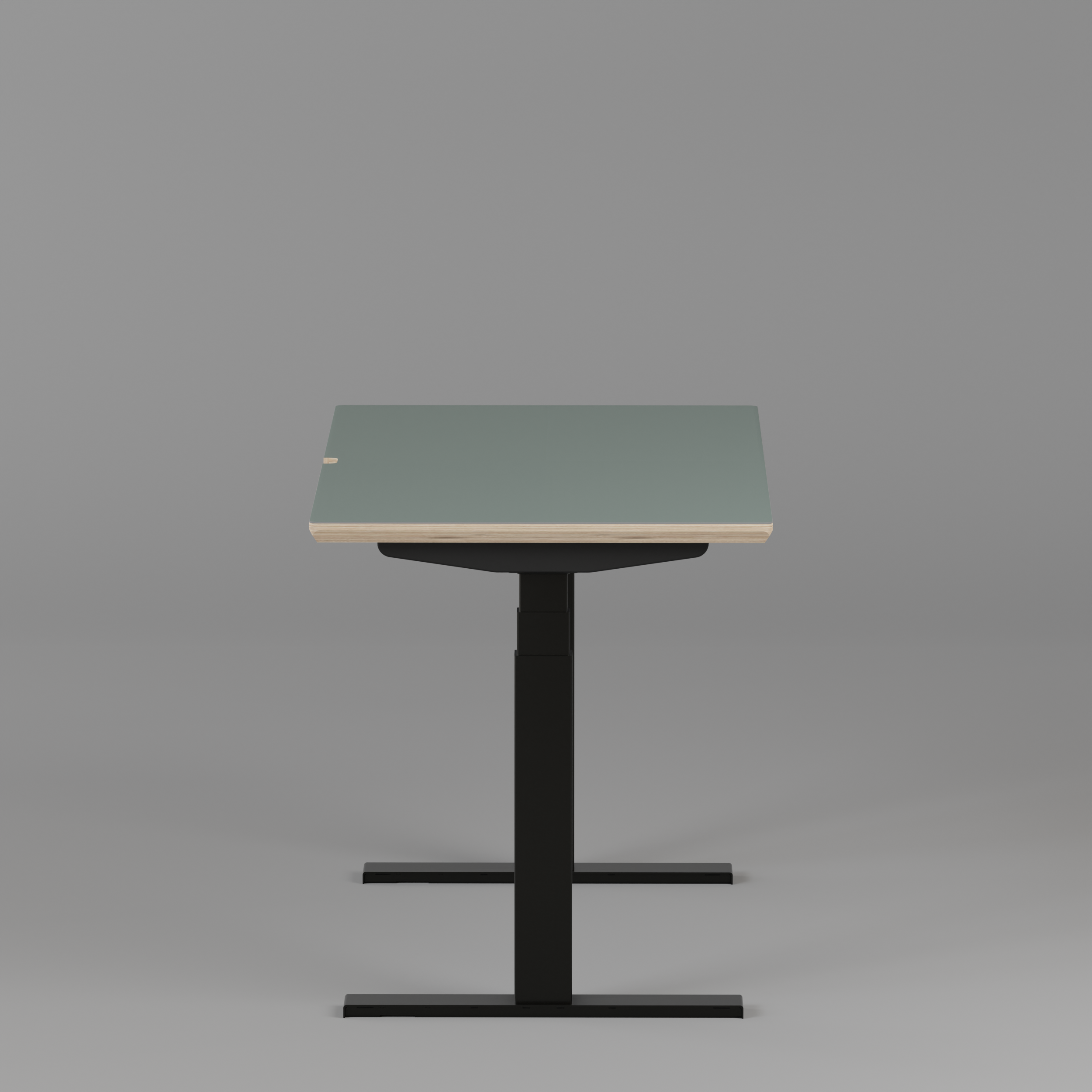 Model 301 Electric Standing Desk | Moss Green | 48 x 24 in | Black Legs
