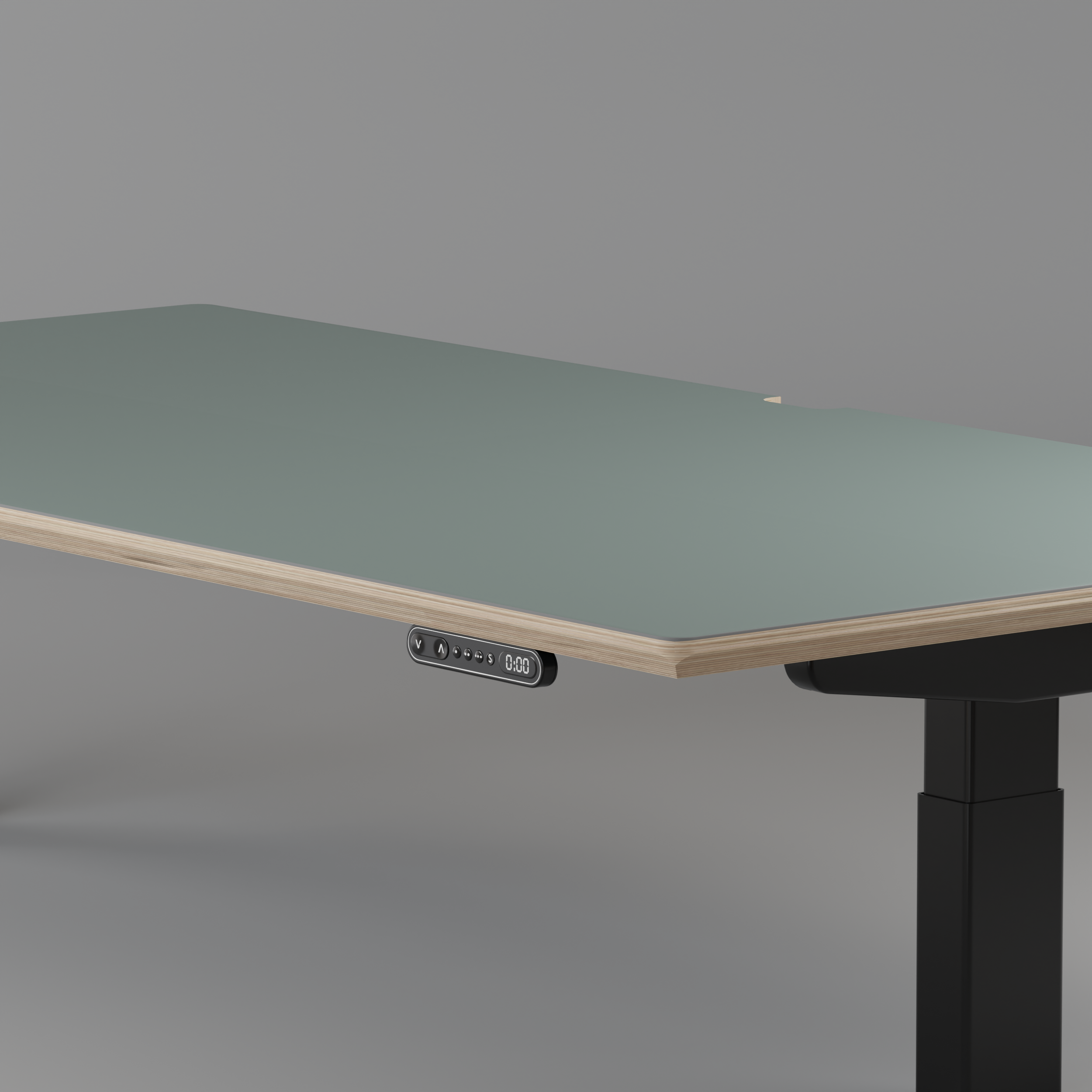 Model 301 | Height Adjustable Desk/Standing Desk (59"x29") | Moss Green | Black Legs