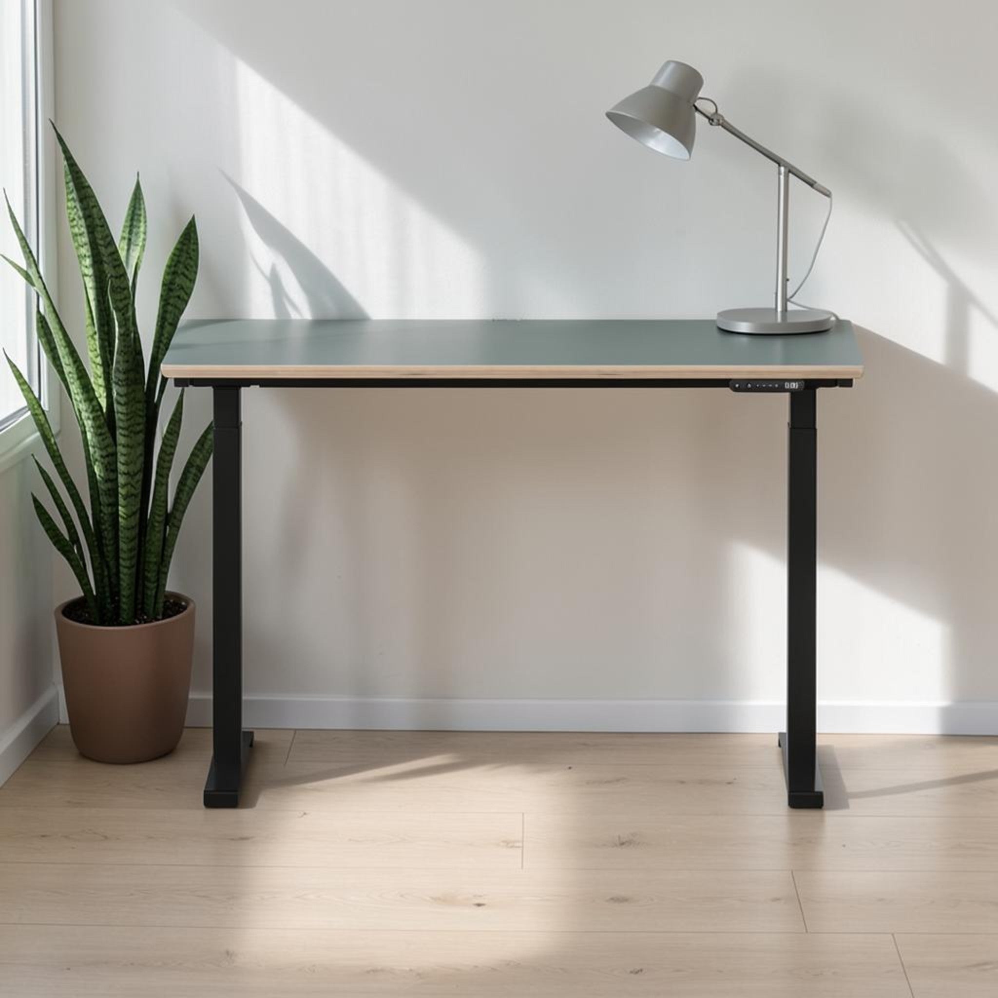 Model 301 | Height Adjustable Desk/Standing Desk (48"x24") | Moss Green | Black Legs