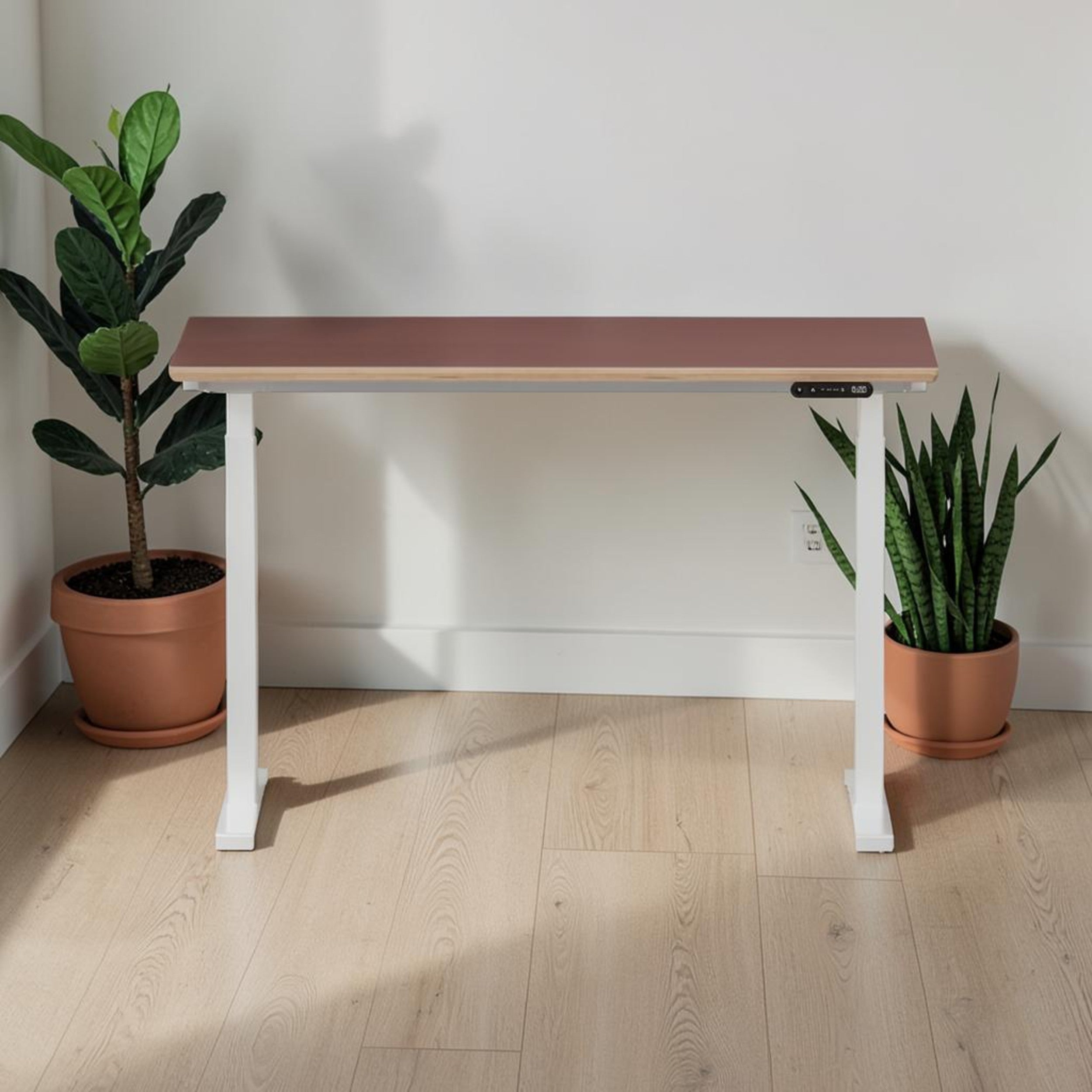 Model 301 | Height Adjustable Desk/Standing Desk (48"x24") | Rosso | White Legs