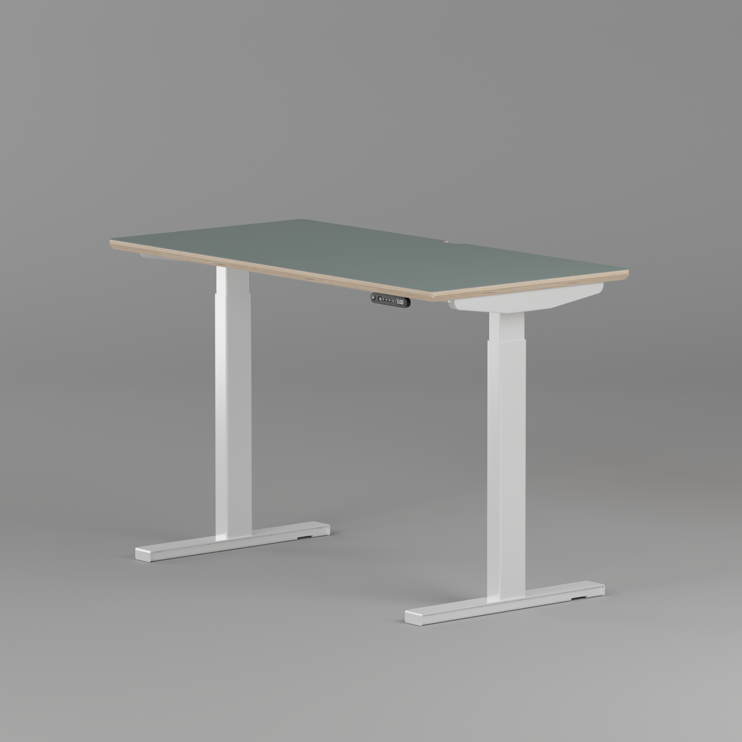 Model 301 | Height Adjustable Desk/Standing Desk (48"x24") | Moss Green | White Legs