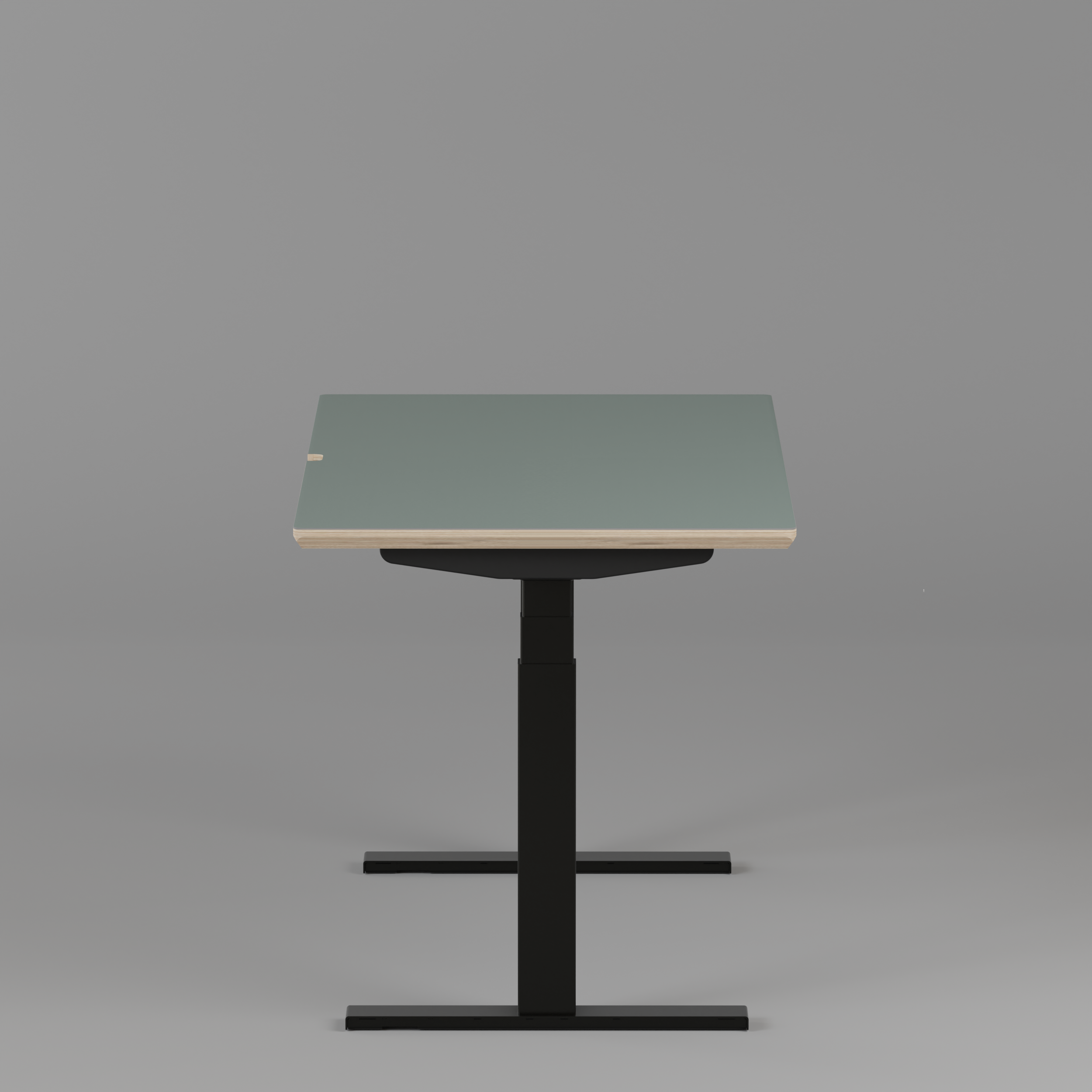 Model 301 Electric Standing Desk | Moss Green | 55 x 27 in | Black Legs