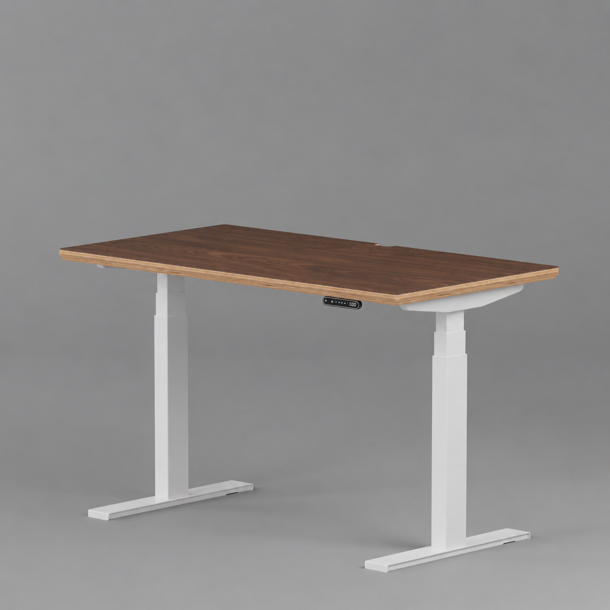 Model 301 Electric Standing Desk | Walnut Veneer | 55 x 27 in | White Legs