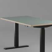 Model 301 Electric Standing Desk | Moss Green  | 48 x 24 in | Black Legs