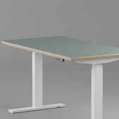 Model 301 Electric Standing Desk | Moss Green | 48 x 24 in | White Legs