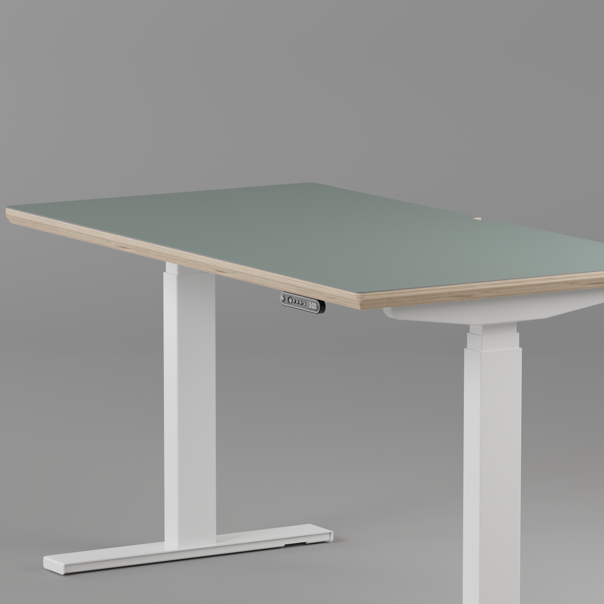 Model 301 Electric Standing Desk | Moss Green | 48 x 24 in | White Legs
