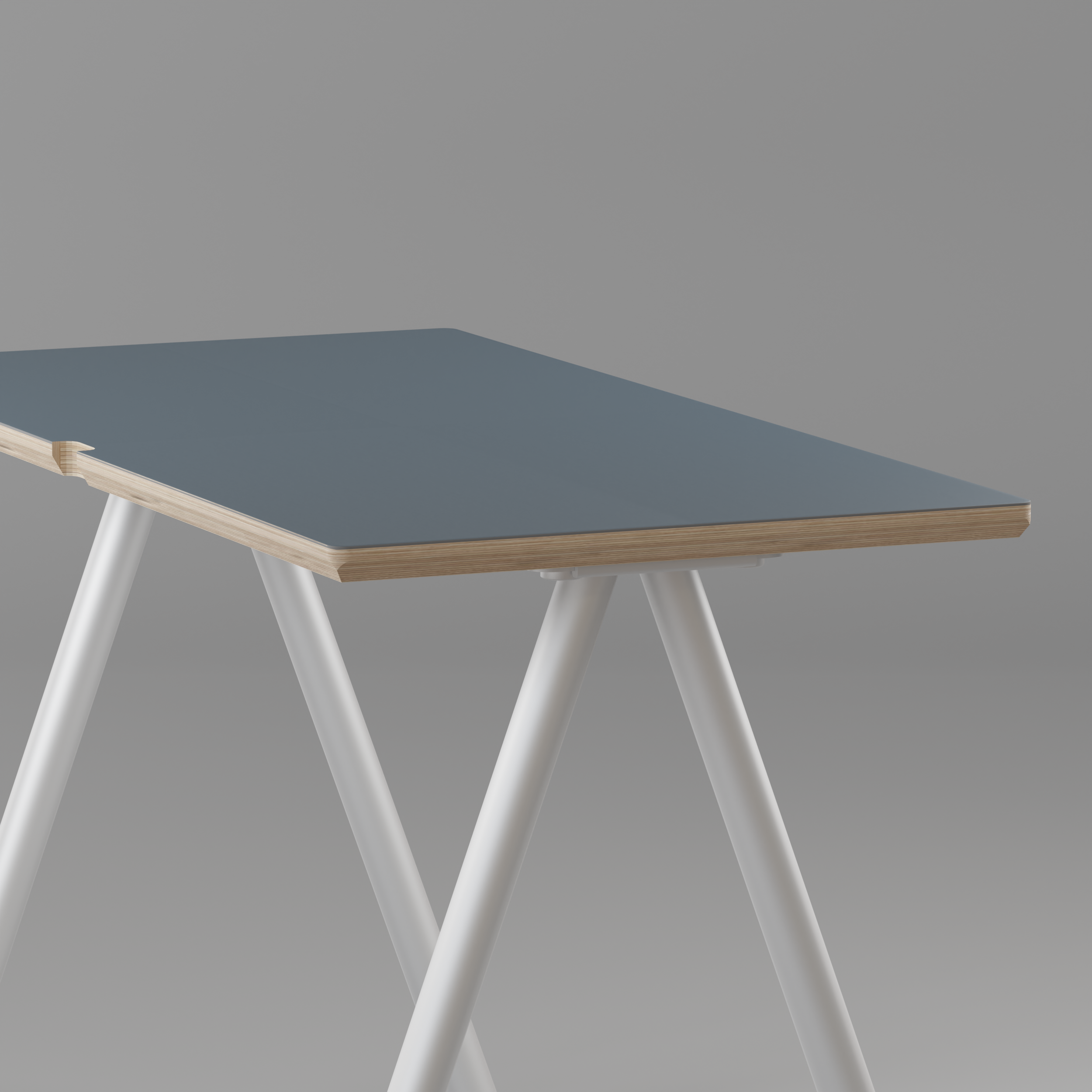 #size_55"x24"
