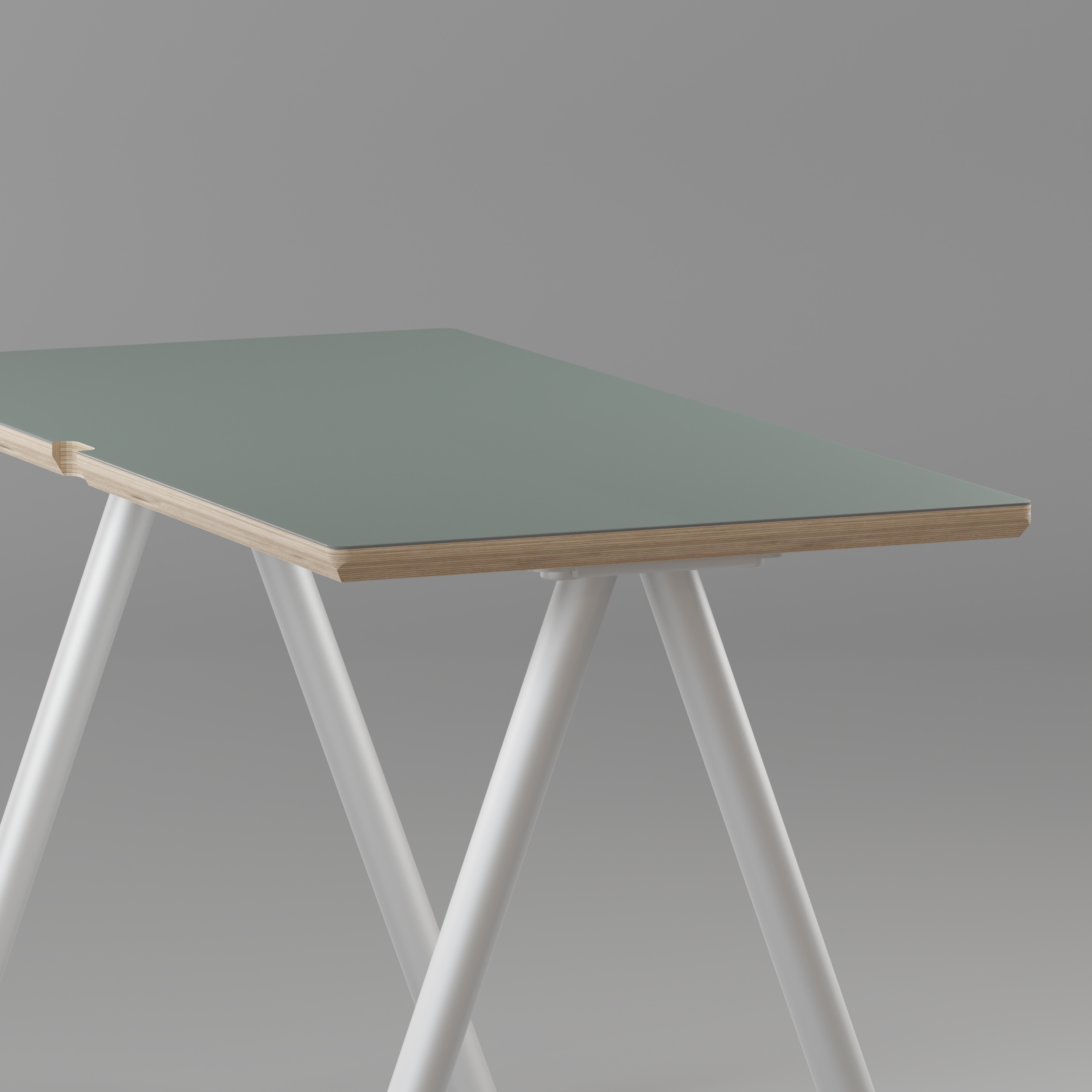 #size_55"x24"