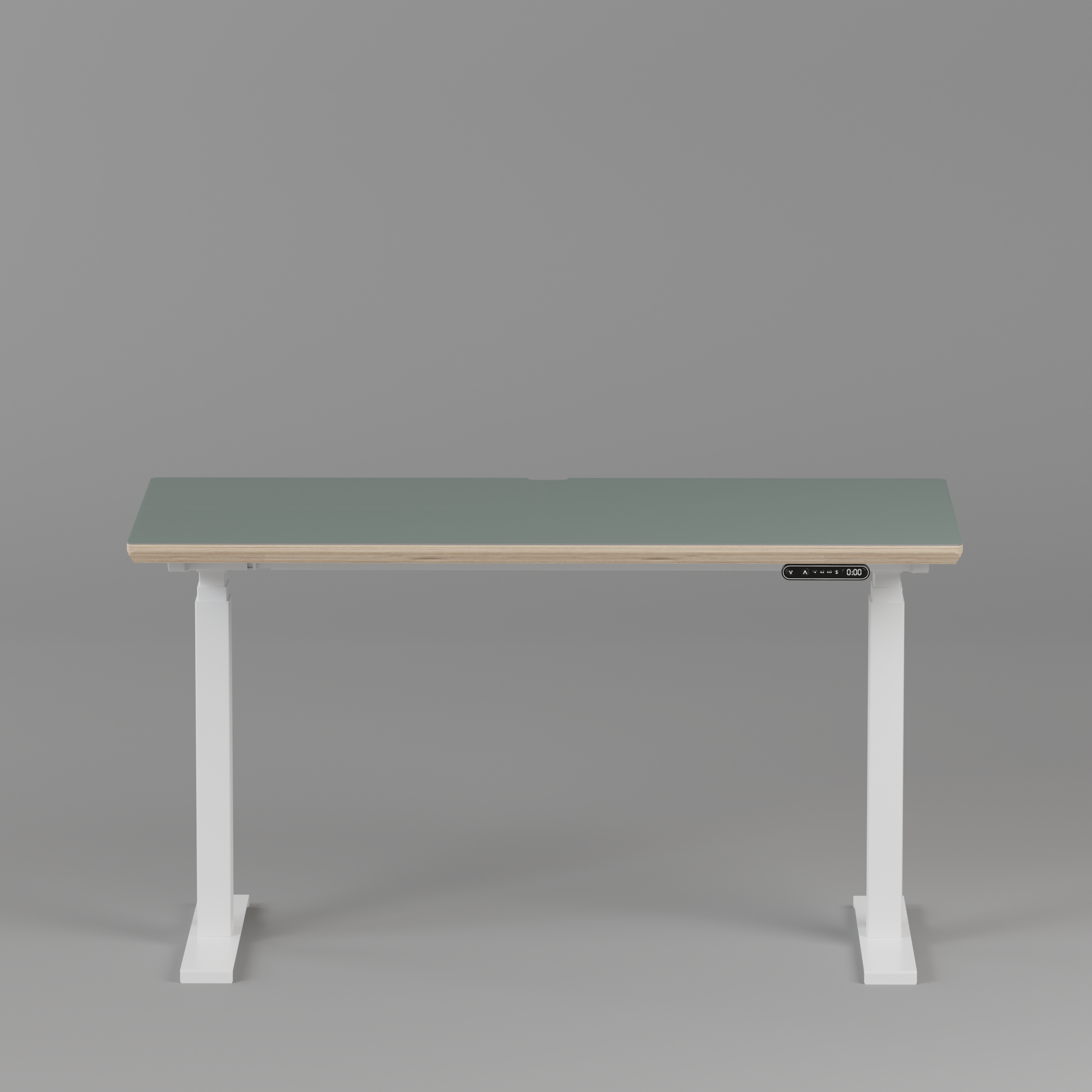 Model 301 Electric Standing Desk | Moss Green | 48 x 24 in | White Legs