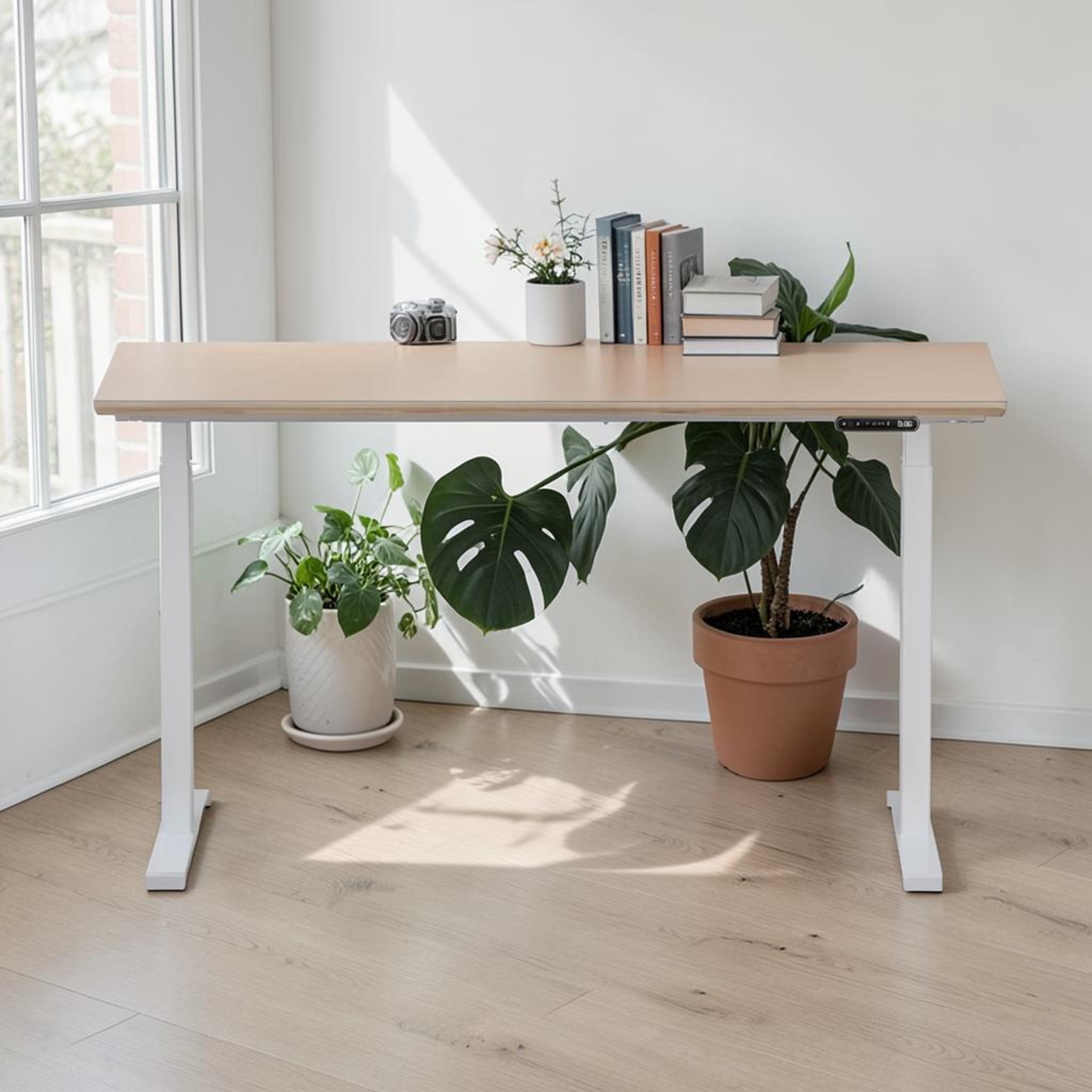 Model 301 | Height Adjustable/Standing Desk (59"x29")  | Beige | White Legs