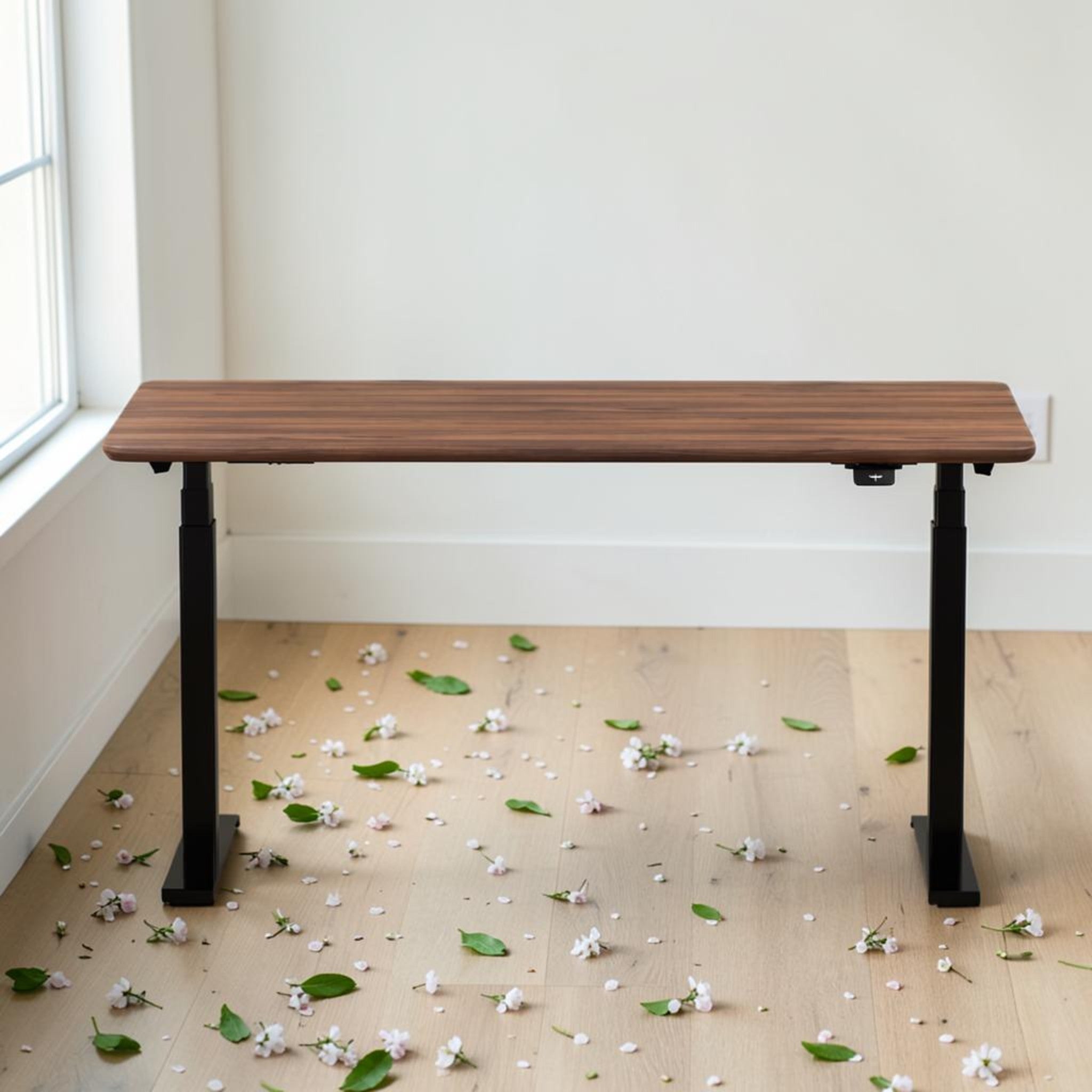 Model 304 | Solid American Walnut Wood Height Adjustable Desk (60"x30") | Black Legs