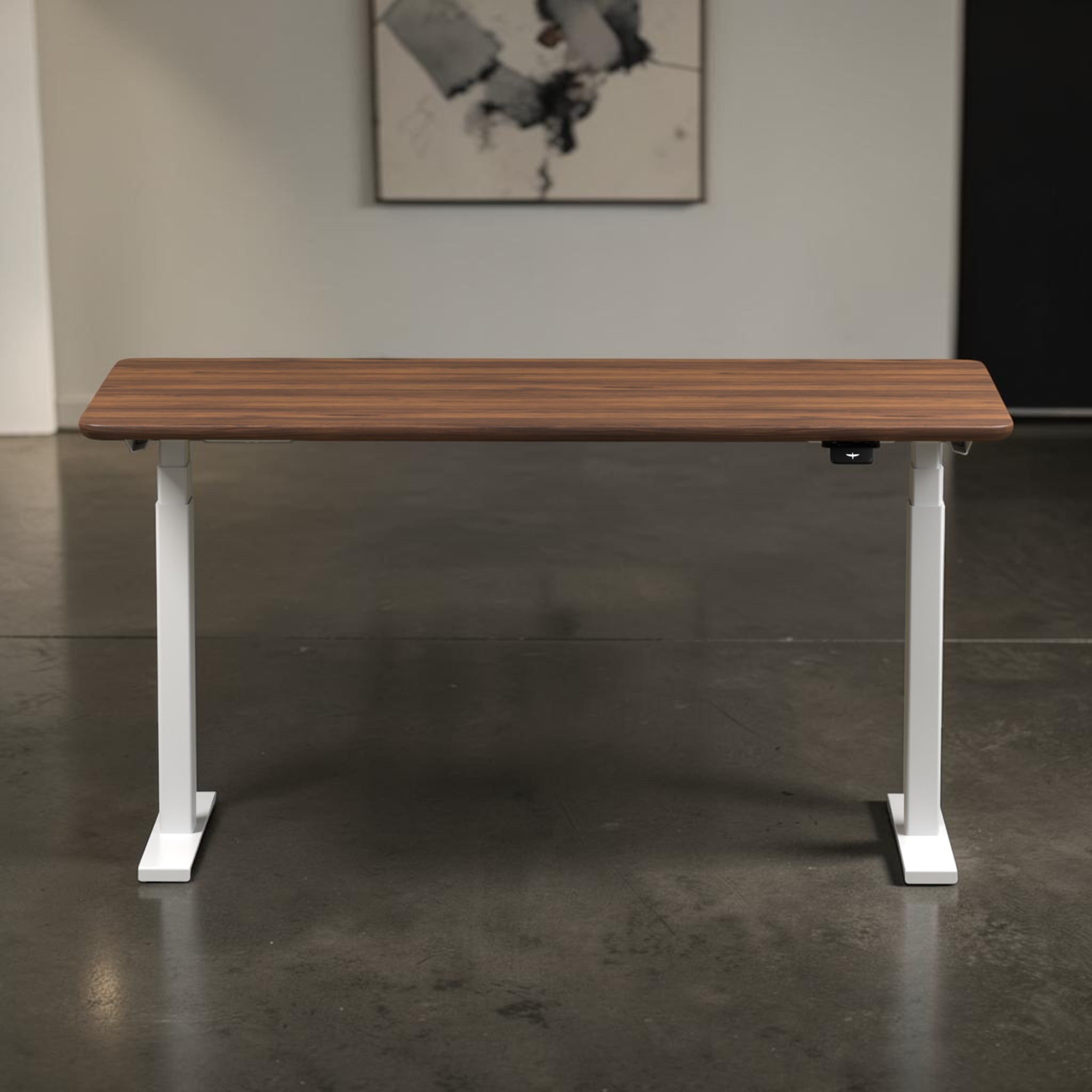 Model 304 | Solid American Walnut Wood Height Adjustable Desk (60"x30") | White Legs