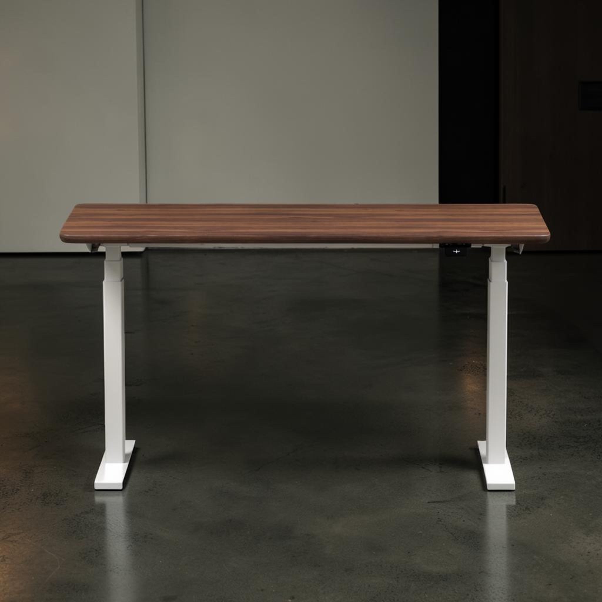 Model 304 | Solid American Walnut  Wood Height Adjustable Desk (55"x28") | White Legs