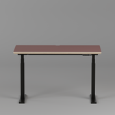 Model 301 Electric Standing Desk | Rosso | 48 x 24 in | Black Legs