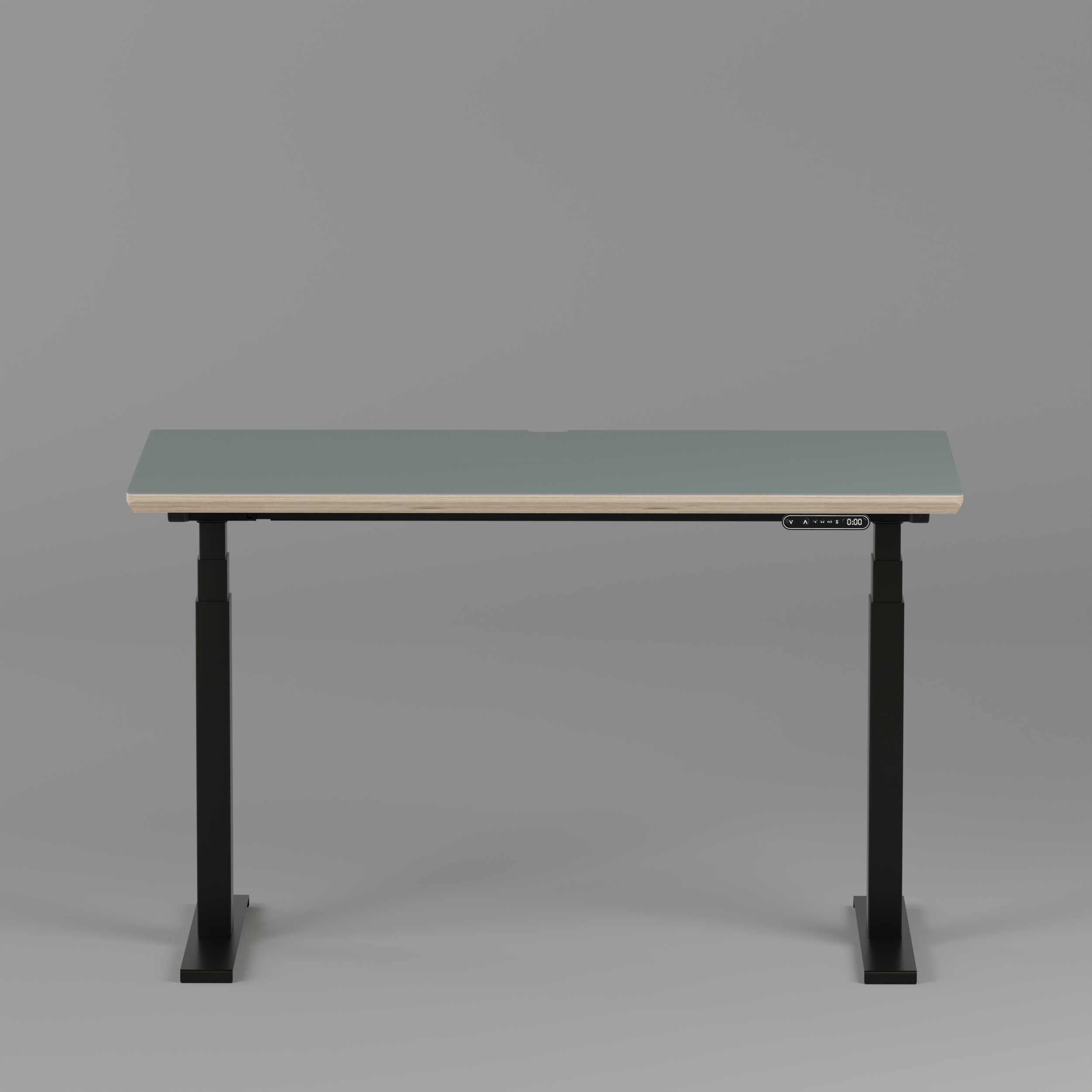 Model 301 Electric Standing Desk | Moss Green  | 48 x 24 in | Black Legs