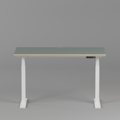 Model 301 Electric Standing Desk | Moss Green | 48 x 24 in | White Legs