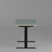 Model 301 Electric Standing Desk | Moss Green  | 48 x 24 in | Black Legs