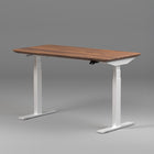 Model 304 | Solid American Walnut  Wood Height Adjustable Desk (55
