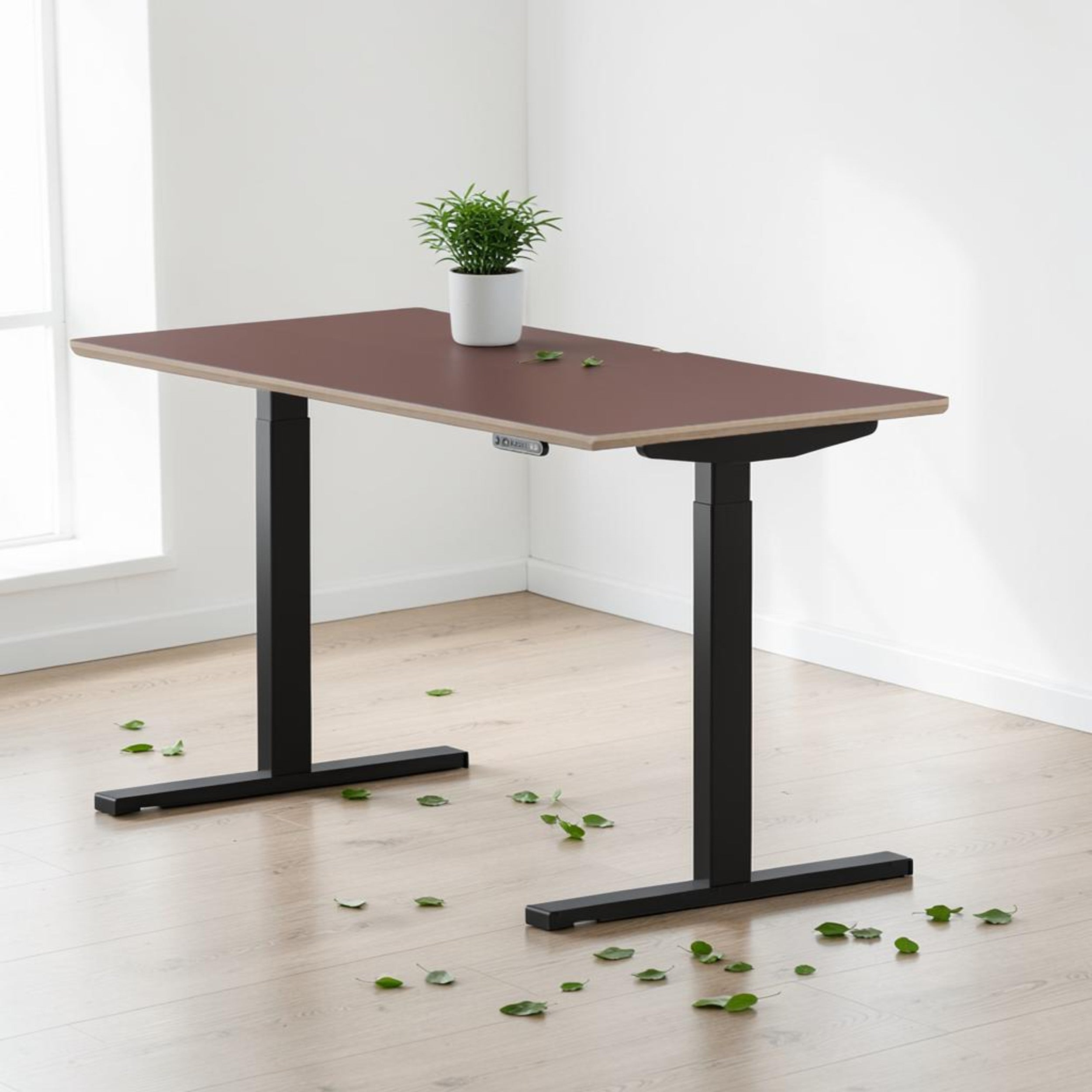 Model 301 | Height Adjustable Desk/Standing Desk (55"x27") | Rosso | Black Legs