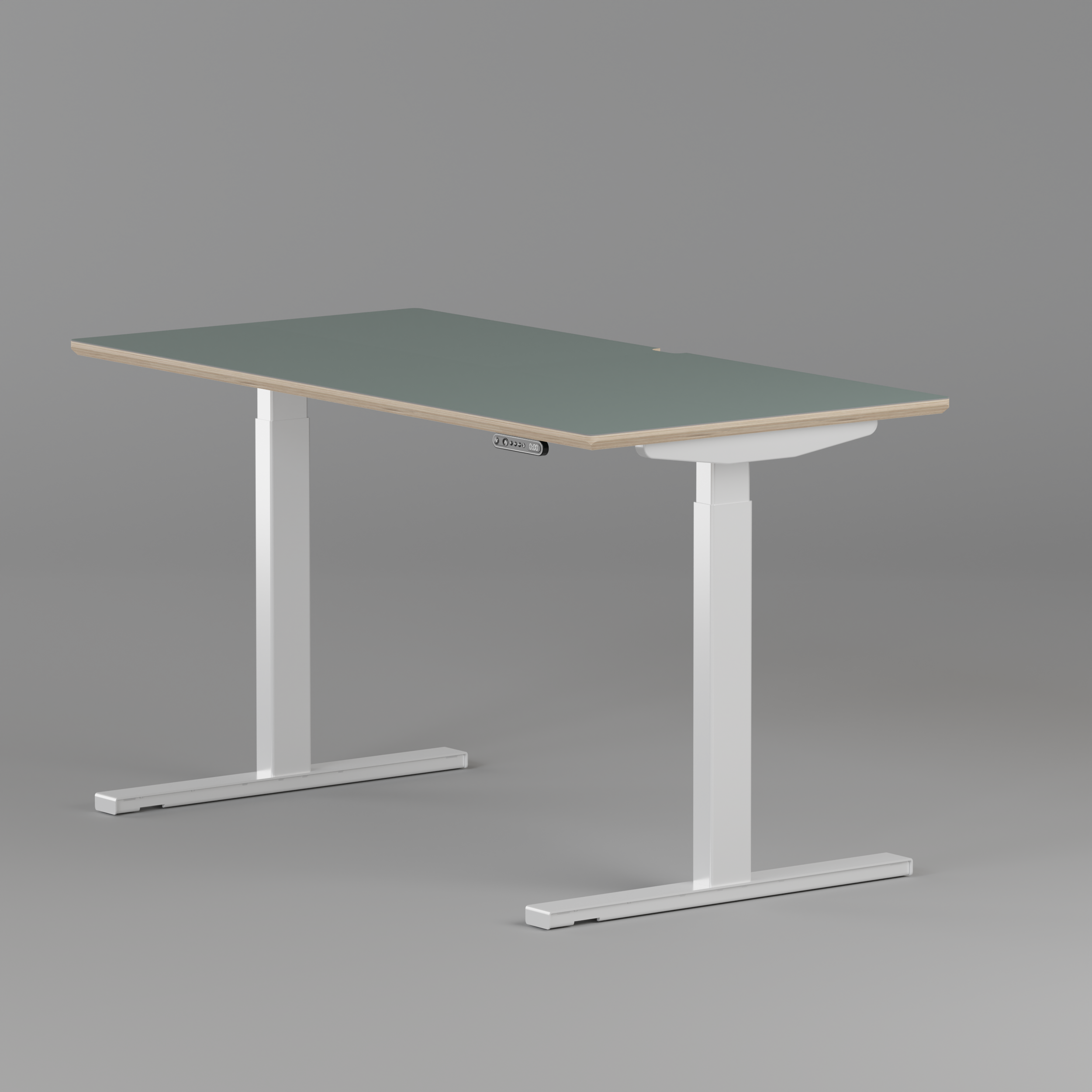 Model 301 | Height Adjustable Desk/Standing Desk (55"x27") | Moss Green | White Legs