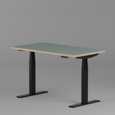 Model 301 Electric Standing Desk | Moss Green  | 48 x 24 in | Black Legs