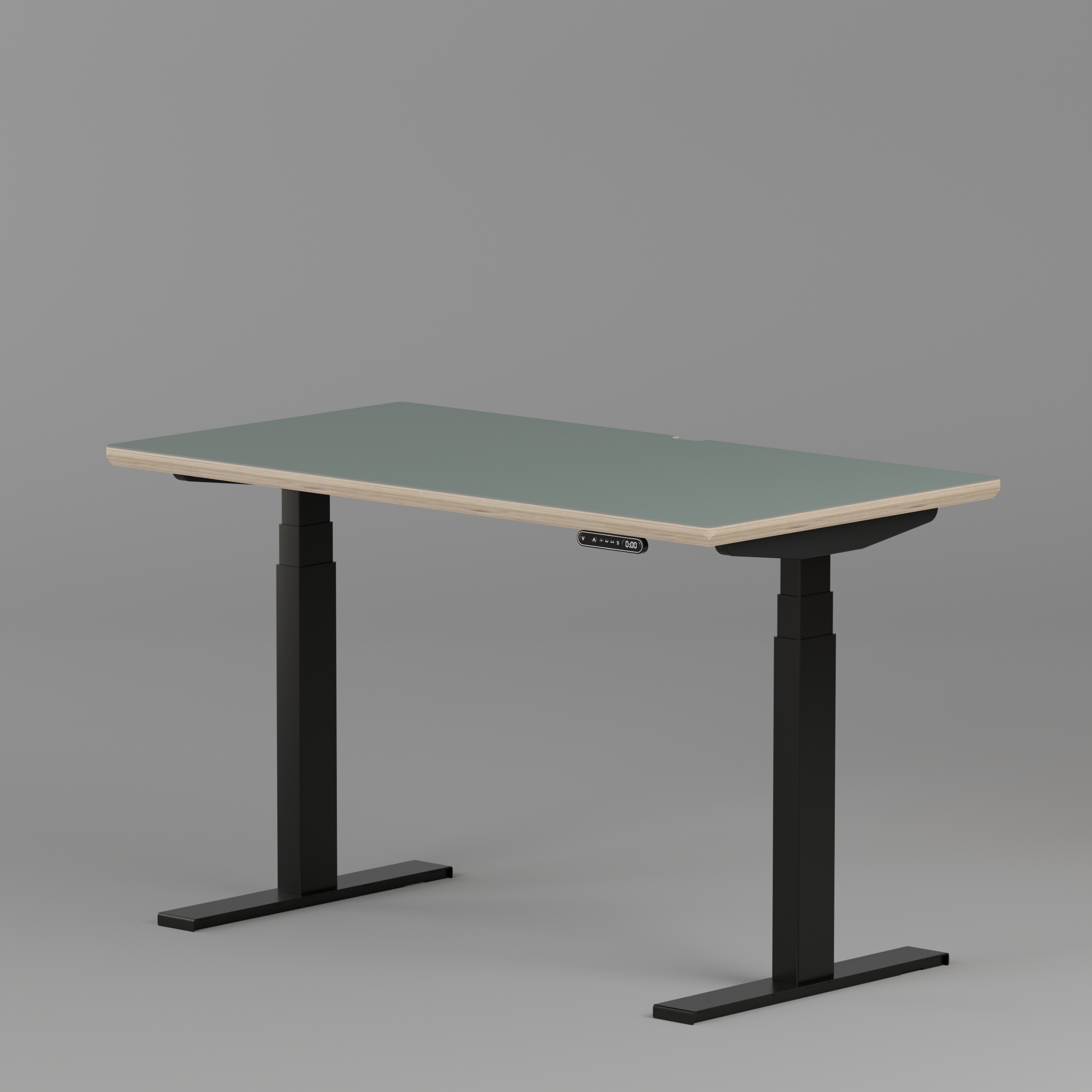 Model 301 Electric Standing Desk | Moss Green  | 48 x 24 in | Black Legs