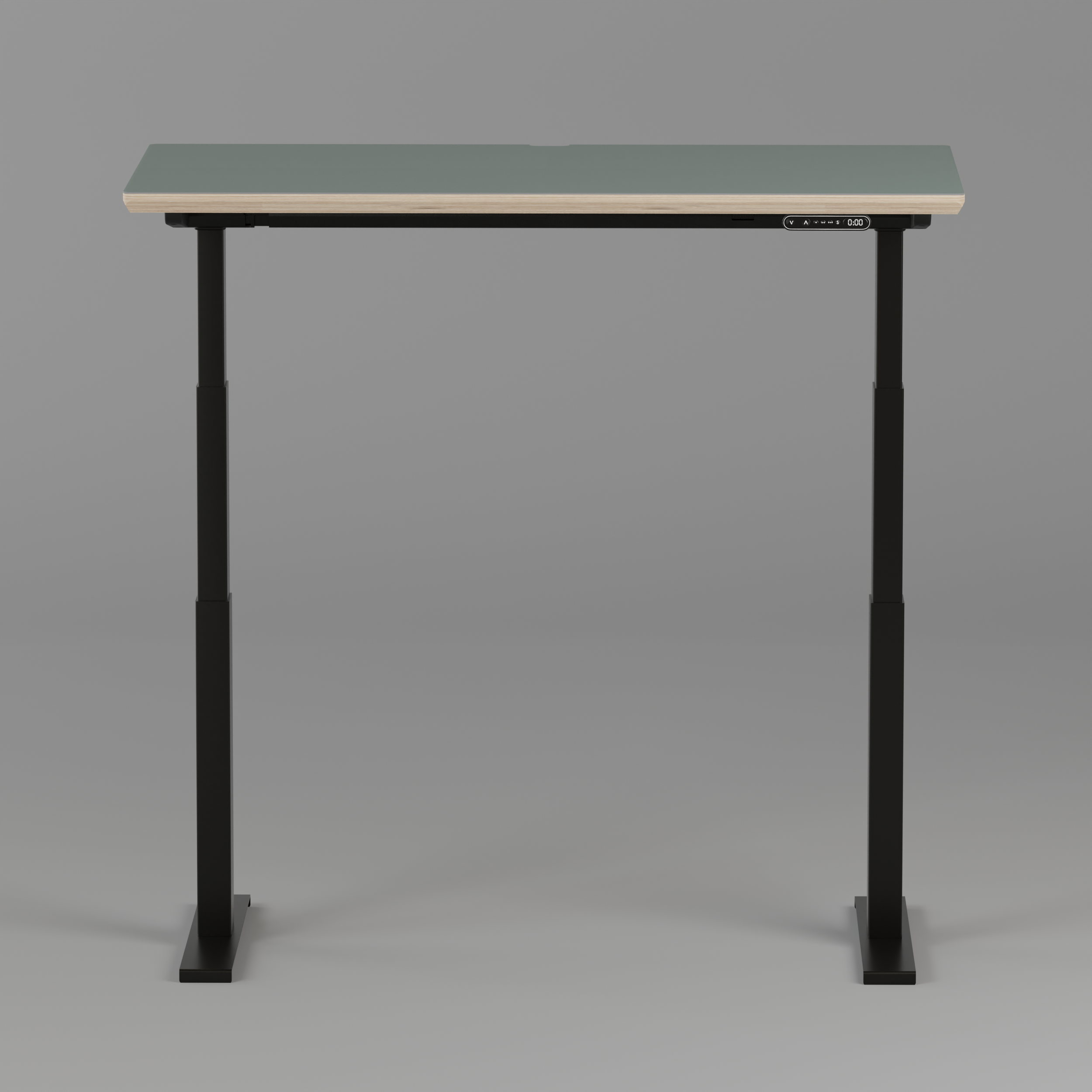 Model 301 Electric Standing Desk | Moss Green  | 48 x 24 in | Black Legs