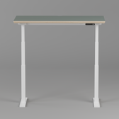 Model 301 Electric Standing Desk | Moss Green | 48 x 24 in | White Legs