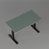 Model 301 Electric Standing Desk | Moss Green  | 48 x 24 in | Black Legs