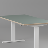 Model 301 Electric Standing Desk | Moss Green | 55 x 27 in | White Legs