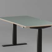 Model 301 Electric Standing Desk | Moss Green | 55 x 27 in | Black Legs