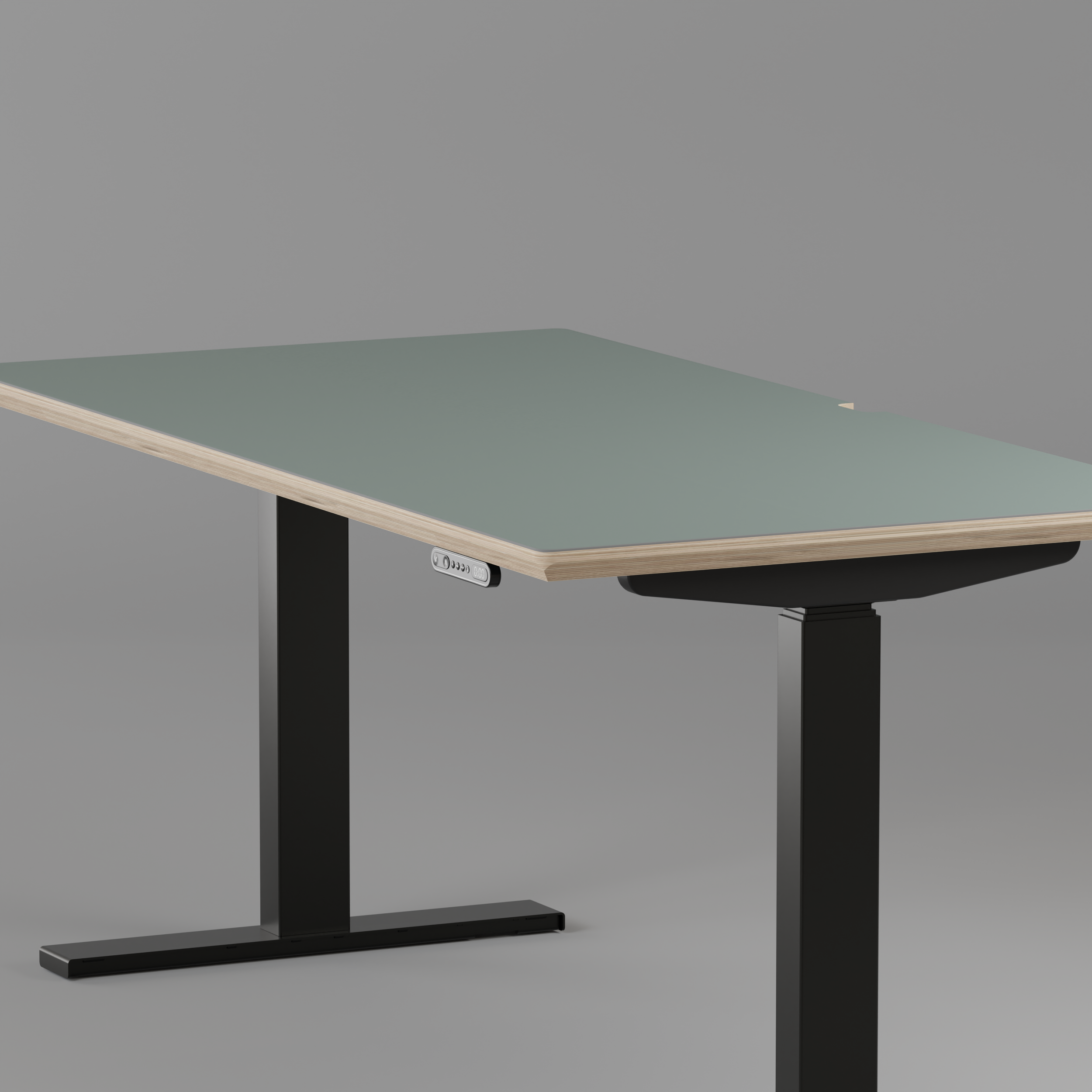 Model 301 Electric Standing Desk | Moss Green | 55 x 27 in | Black Legs