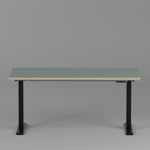 Model 301 Electric Standing Desk | Moss Green | 55 x 27 in | Black Legs