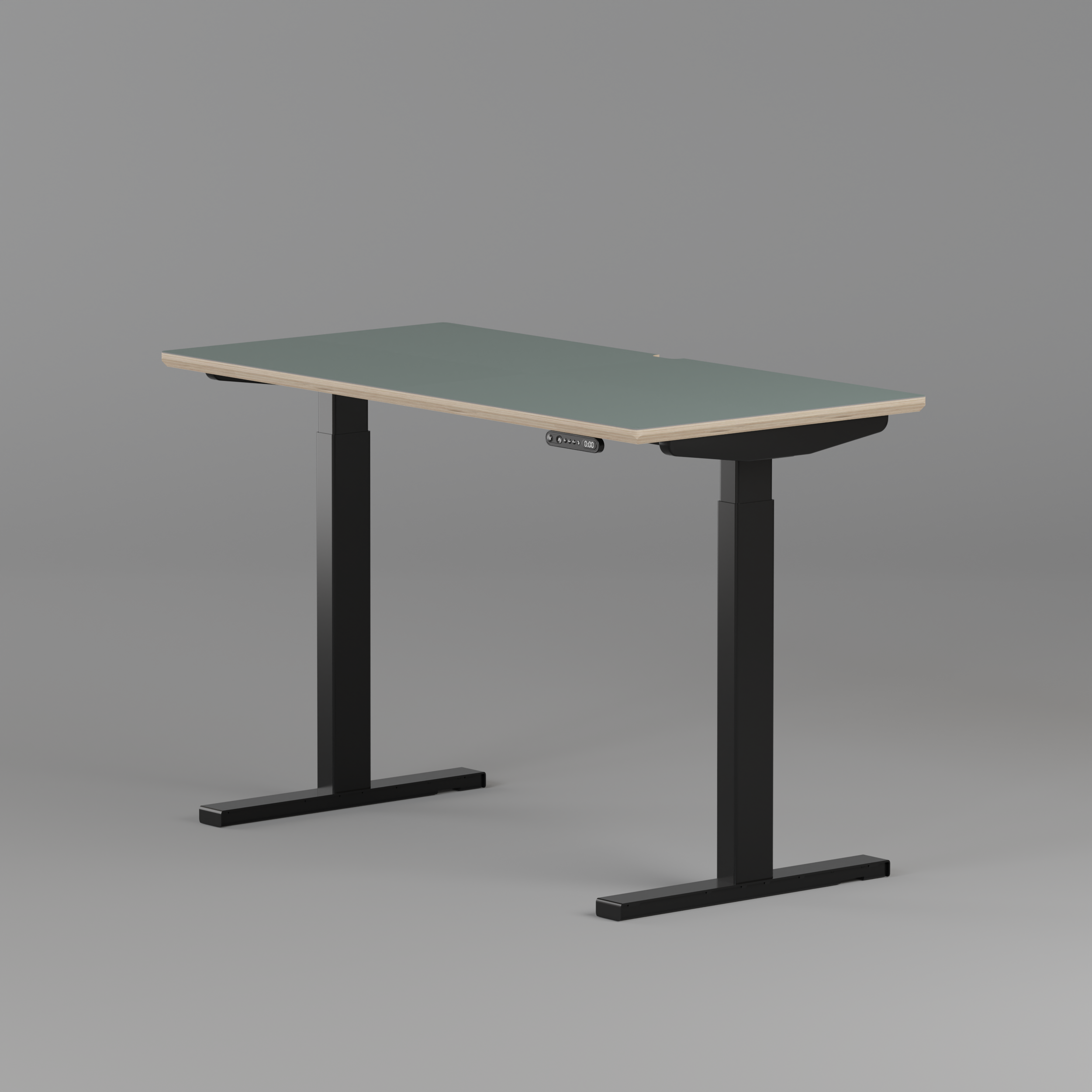 Model 301 | Height Adjustable Desk/Standing Desk (48"x24") | Moss Green | Black Legs