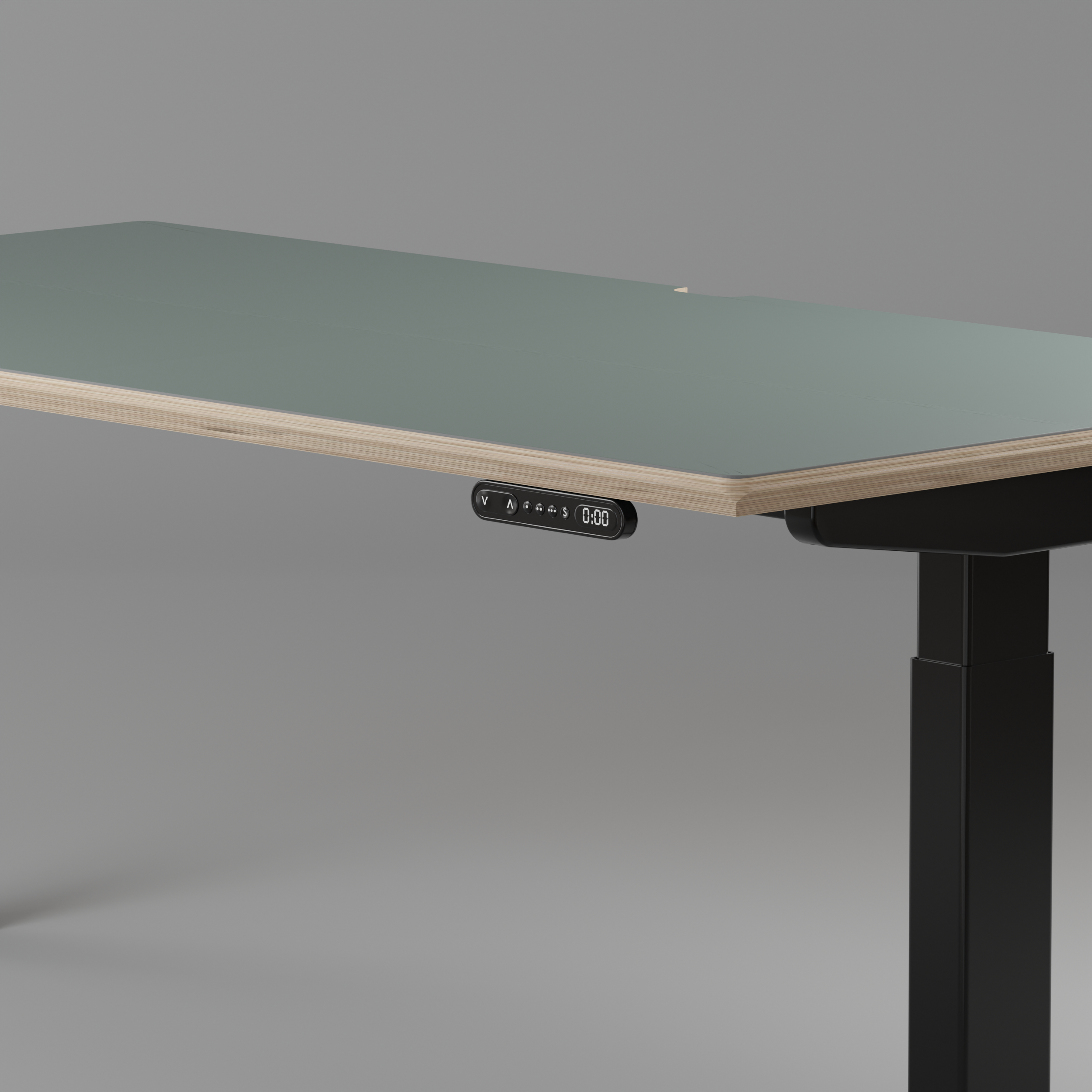 Model 301 | Height Adjustable Desk/Standing Desk (48"x24") | Moss Green | Black Legs