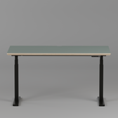 Model 301 Electric Standing Desk | Moss Green | 55 x 27 in | Black Legs