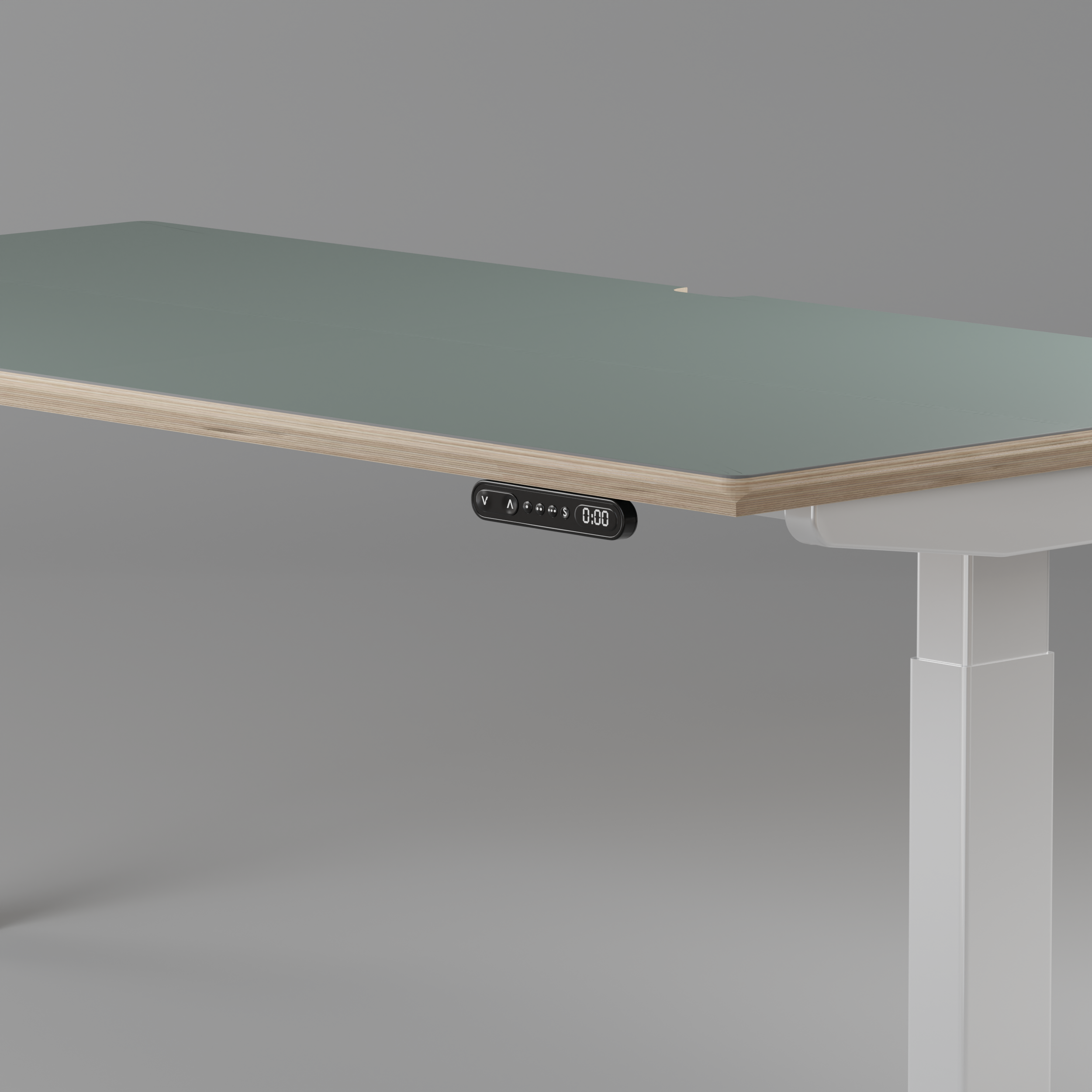 Model 301 | Height Adjustable Desk/Standing Desk (48"x24") | Moss Green | White Legs
