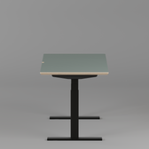 Model 301 Electric Standing Desk | Moss Green | 55 x 27 in | Black Legs