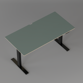 Model 301 Electric Standing Desk | Moss Green | 55 x 27 in | Black Legs