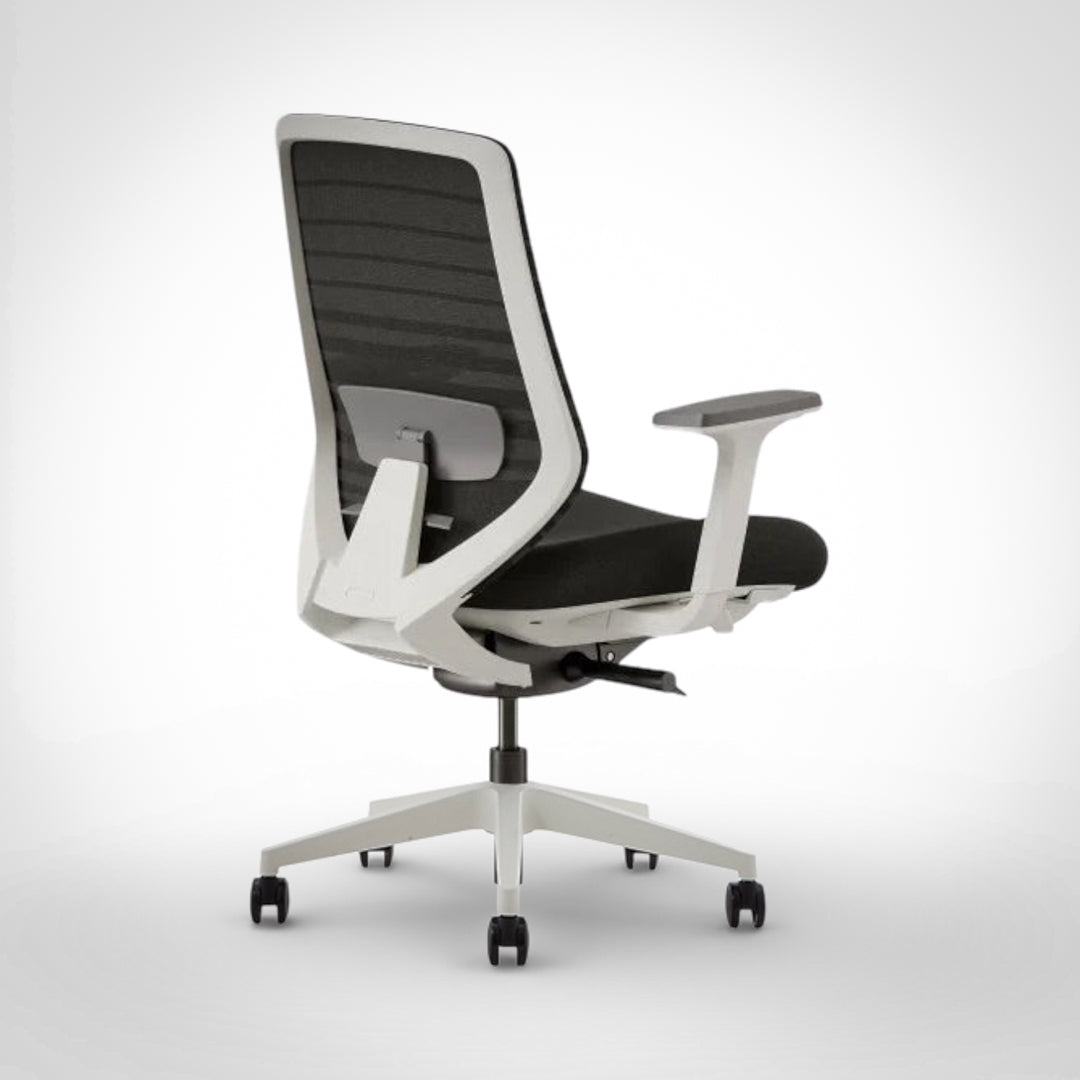 Model 11 Ergonomic Office Chair | Contrast | Nylon Base