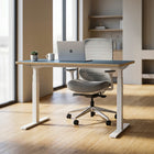 Model 301 | Height Adjustable Desk/Standing Desk (48
