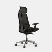 Pelicanwork Ergonomic Office Chair black color, mesh backrest, adjustable headrest, back perspective