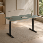 Model 301 Electric Standing Desk | Moss Green | 55 x 27 in | Black Legs