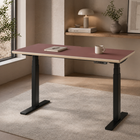 Model 301 | Height Adjustable Desk/Standing Desk (48