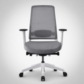 Model 54  Ergonomic Office Chair  | White/Grey | Nylon Base