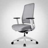 Model 54  Ergonomic Office Chair  | White/Grey | Nylon Base